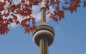 Selección de fondos para el 2º semestre: nueva normalidad y perspectivas