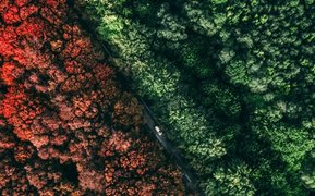 Inversión sostenible: protección en momentos de crisis