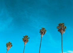 Conference call privada con AllianceBernstein y Trea AM