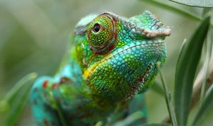 Fondos dinámicos para entornos cambiantes