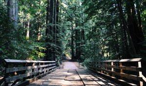 Inversión con criterios ESG