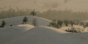 Asset Allocation: activos y sectores