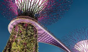 Mejores temáticas para invertir a largo plazo