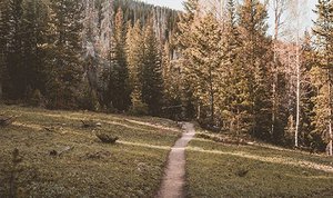 Gestión pasiva: ahorro de costes y accesibilidad