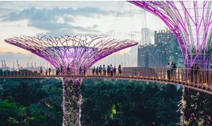 Temáticas a largo plazo