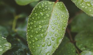 Concurso de Carteras Modelo