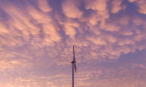 Transición energética y Sostenibilidad