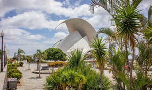 Desayuno con profesionales en Tenerife