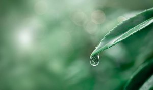 Funds Meeting: Colazione ESG