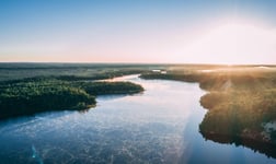 article