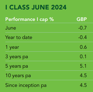 Graph showing the performance of class 1 of the fund