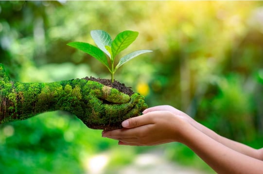 sustainability-robeco-rankiapro