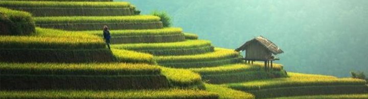 Emerging Markets RankiaPro