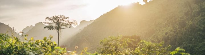Una fotografia della natura e la biodiversità