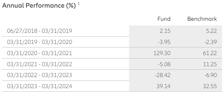 Table that shows the annualized performance