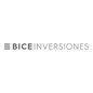 Imagen del autor